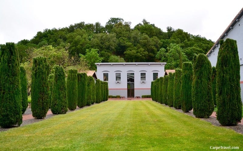 It was love at first sip… Interview with Robin Akhurst, the winemaker at Clos Pegase Winery in Napa Valley.